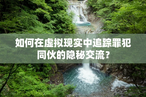 如何在虚拟现实中追踪罪犯同伙的隐秘交流？
