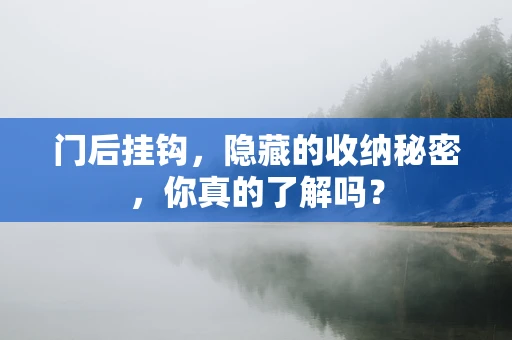 门后挂钩，隐藏的收纳秘密，你真的了解吗？