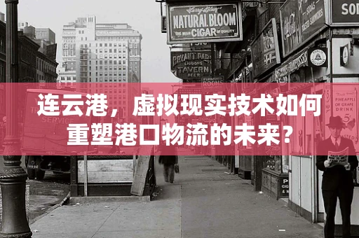 连云港，虚拟现实技术如何重塑港口物流的未来？