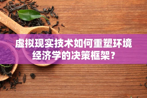 虚拟现实技术如何重塑环境经济学的决策框架？