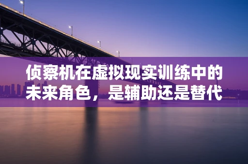 侦察机在虚拟现实训练中的未来角色，是辅助还是替代？