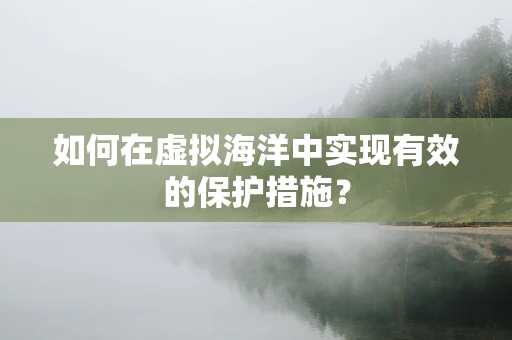 如何在虚拟海洋中实现有效的保护措施？