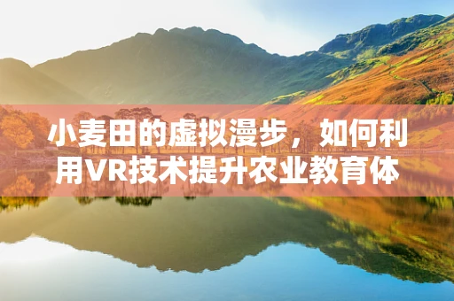 小麦田的虚拟漫步，如何利用VR技术提升农业教育体验？