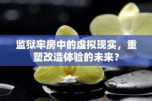 监狱牢房中的虚拟现实，重塑改造体验的未来？