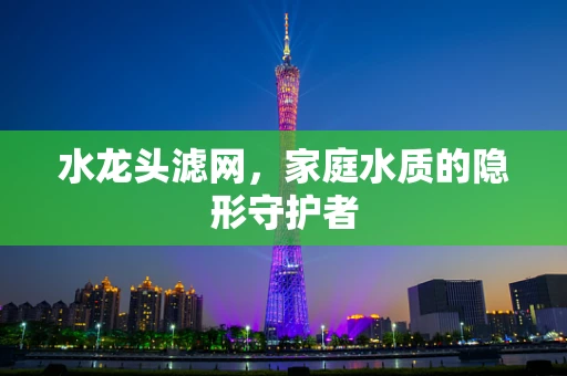 水龙头滤网，家庭水质的隐形守护者
