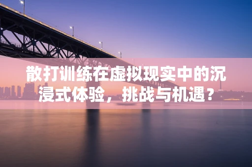 散打训练在虚拟现实中的沉浸式体验，挑战与机遇？