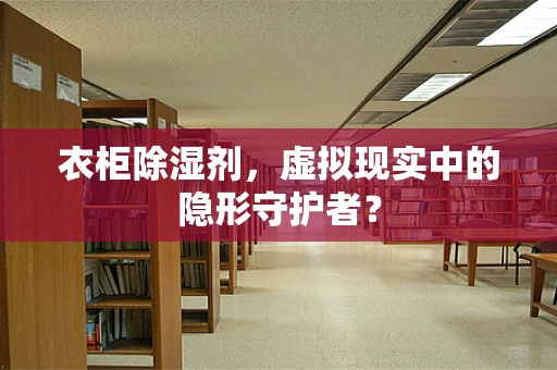 衣柜除湿剂，虚拟现实中的隐形守护者？