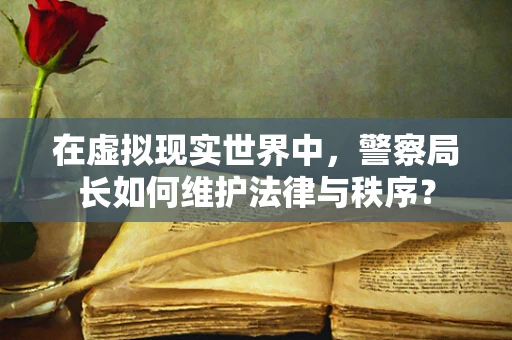 在虚拟现实世界中，警察局长如何维护法律与秩序？