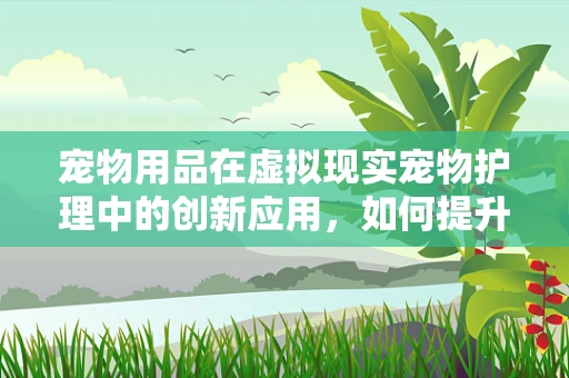 宠物用品在虚拟现实宠物护理中的创新应用，如何提升宠物主人的体验？