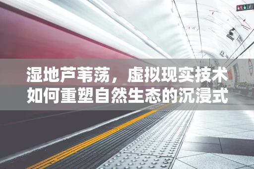 湿地芦苇荡，虚拟现实技术如何重塑自然生态的沉浸式体验？