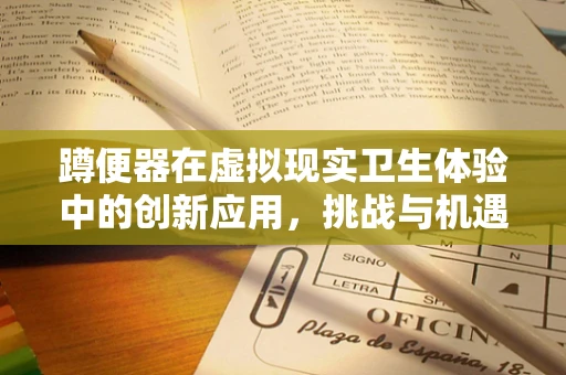 蹲便器在虚拟现实卫生体验中的创新应用，挑战与机遇？