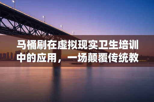 马桶刷在虚拟现实卫生培训中的应用，一场颠覆传统教育方式的革命？