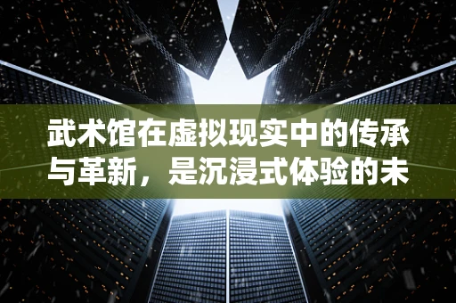 武术馆在虚拟现实中的传承与革新，是沉浸式体验的未来还是传统武学的迷失？