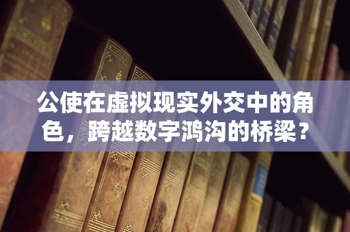 公使在虚拟现实外交中的角色，跨越数字鸿沟的桥梁？