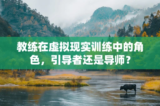 教练在虚拟现实训练中的角色，引导者还是导师？