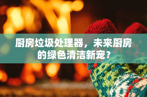 厨房垃圾处理器，未来厨房的绿色清洁新宠？