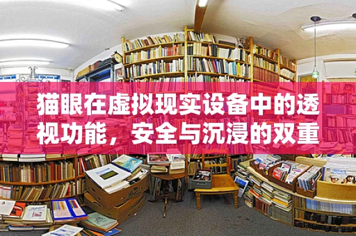 猫眼在虚拟现实设备中的透视功能，安全与沉浸的双重挑战