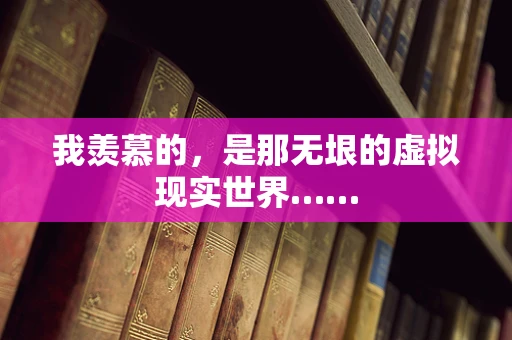 我羡慕的，是那无垠的虚拟现实世界……