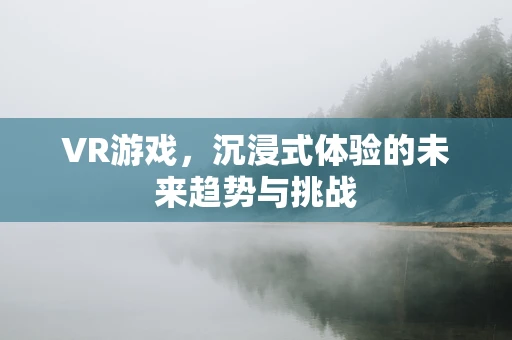 VR游戏，沉浸式体验的未来趋势与挑战