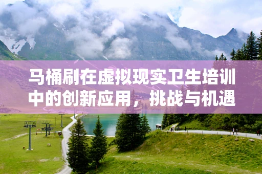 马桶刷在虚拟现实卫生培训中的创新应用，挑战与机遇？