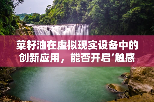 菜籽油在虚拟现实设备中的创新应用，能否开启‘触感’新纪元？