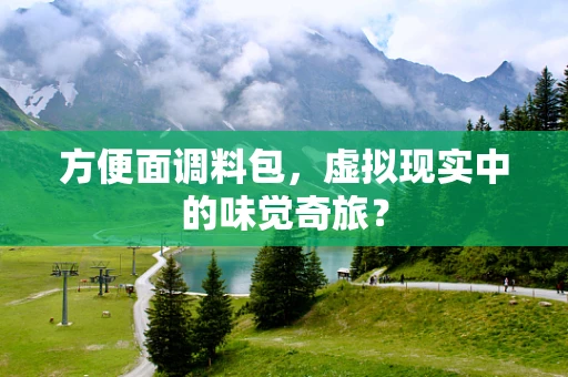 方便面调料包，虚拟现实中的味觉奇旅？