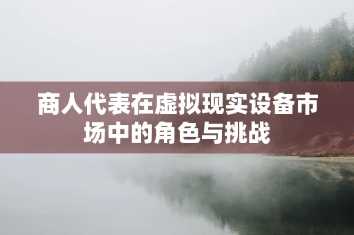 商人代表在虚拟现实设备市场中的角色与挑战