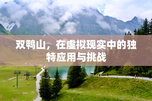 双鸭山，在虚拟现实中的独特应用与挑战