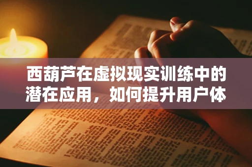 西葫芦在虚拟现实训练中的潜在应用，如何提升用户体验与学习效率？