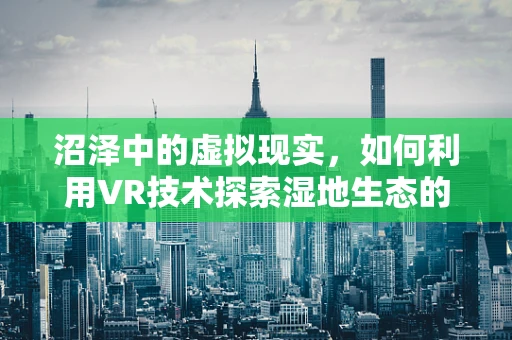 沼泽中的虚拟现实，如何利用VR技术探索湿地生态的奥秘？