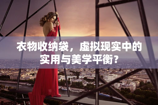 衣物收纳袋，虚拟现实中的实用与美学平衡？
