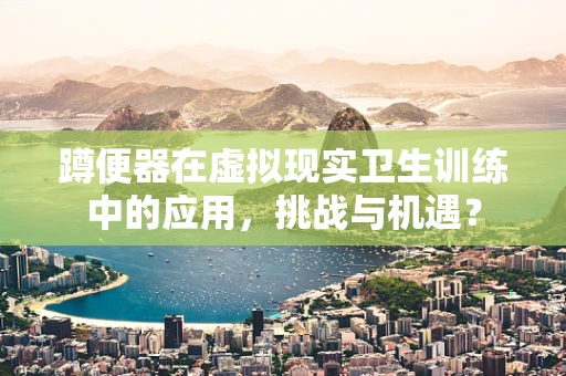 蹲便器在虚拟现实卫生训练中的应用，挑战与机遇？
