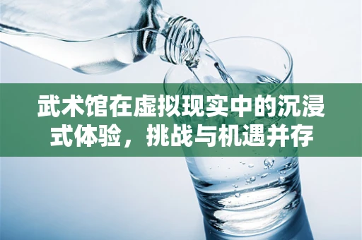 武术馆在虚拟现实中的沉浸式体验，挑战与机遇并存