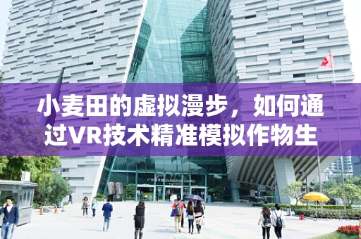小麦田的虚拟漫步，如何通过VR技术精准模拟作物生长环境？