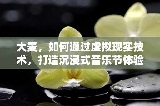 大麦，如何通过虚拟现实技术，打造沉浸式音乐节体验？