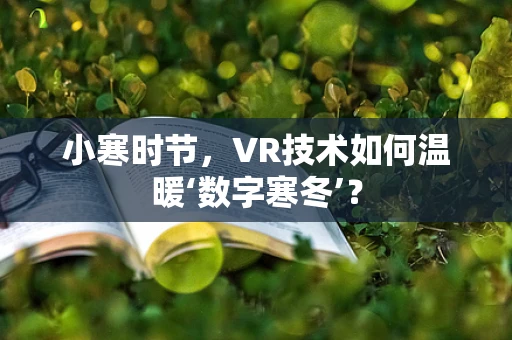 小寒时节，VR技术如何温暖‘数字寒冬’？