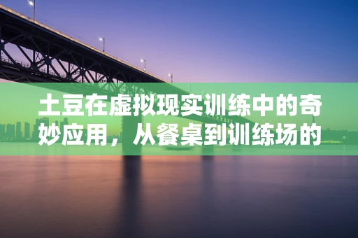 土豆在虚拟现实训练中的奇妙应用，从餐桌到训练场的跨越