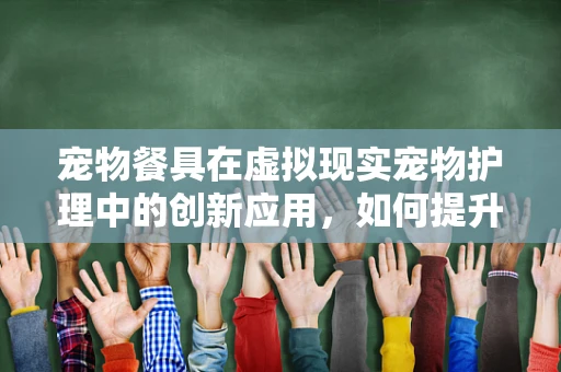 宠物餐具在虚拟现实宠物护理中的创新应用，如何提升宠物就餐体验？