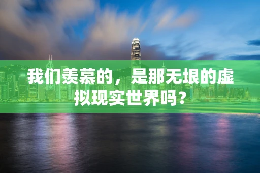 我们羡慕的，是那无垠的虚拟现实世界吗？