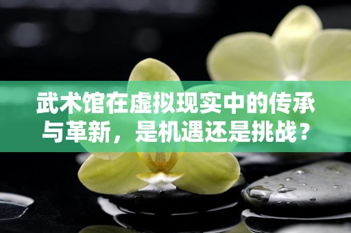 武术馆在虚拟现实中的传承与革新，是机遇还是挑战？