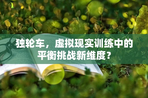 独轮车，虚拟现实训练中的平衡挑战新维度？