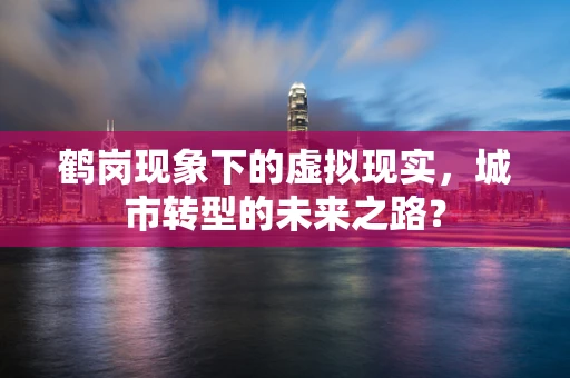 鹤岗现象下的虚拟现实，城市转型的未来之路？