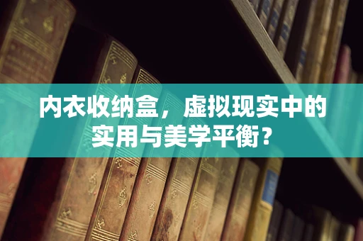 内衣收纳盒，虚拟现实中的实用与美学平衡？