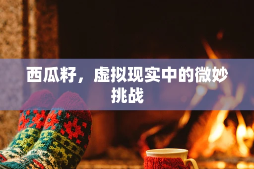 西瓜籽，虚拟现实中的微妙挑战