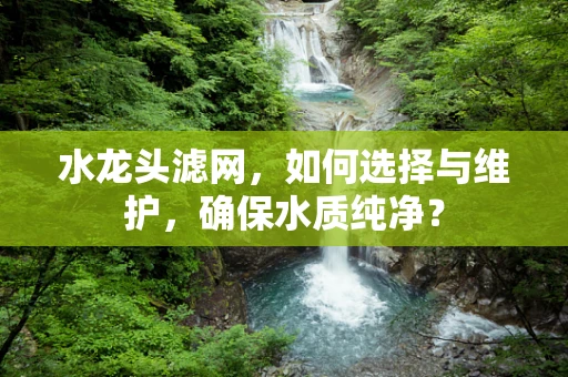 水龙头滤网，如何选择与维护，确保水质纯净？