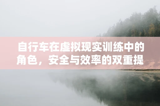 自行车在虚拟现实训练中的角色，安全与效率的双重提升？