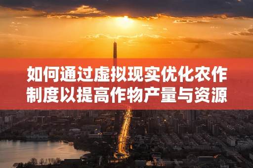 如何通过虚拟现实优化农作制度以提高作物产量与资源效率？