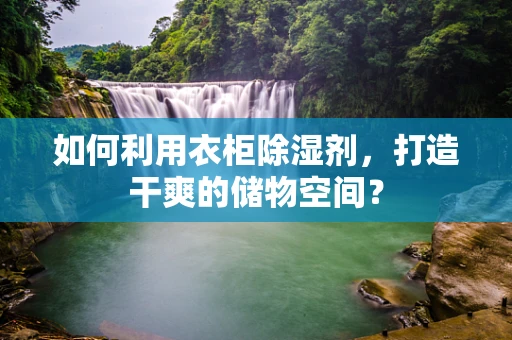如何利用衣柜除湿剂，打造干爽的储物空间？