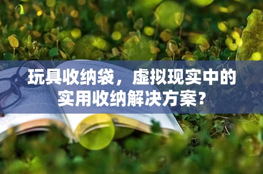玩具收纳袋，虚拟现实中的实用收纳解决方案？