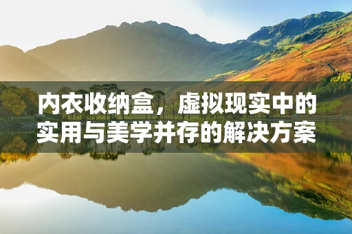 内衣收纳盒，虚拟现实中的实用与美学并存的解决方案？